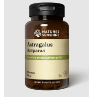 Астрагал | Astragalus