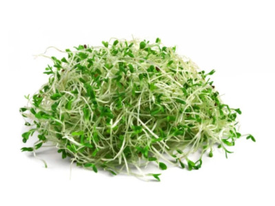 Люцерна в капсулах какая польза для человека