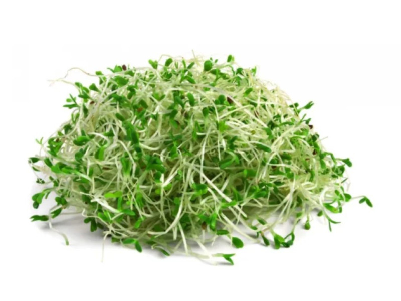 Люцерна в капсулах какая польза для человека