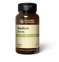 Бердок, Репейник | Burdock