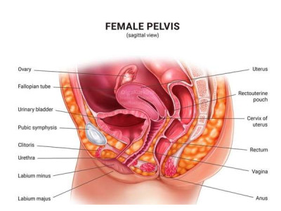 Колющие боли во влагалище: 7 причин и что делать
