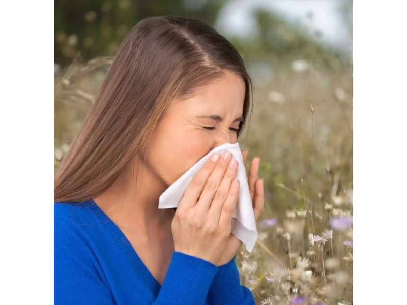  Жизнь без аллергии