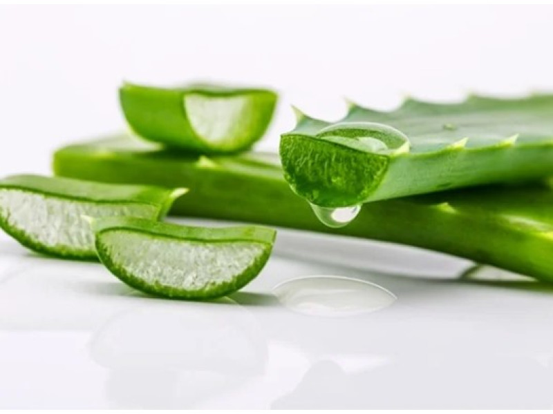 Полезные свойства сока алоэ вера применение 