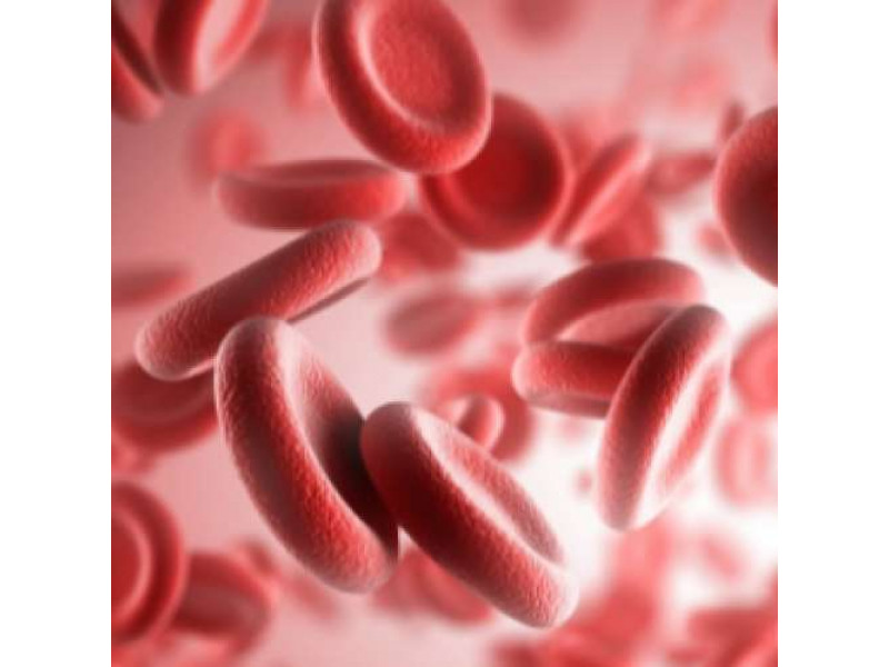  Железодефицитная анемия диета