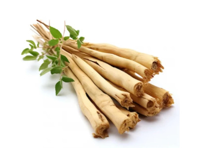 Астрагал – исследование полезных свойств и применение в традиционной медицине