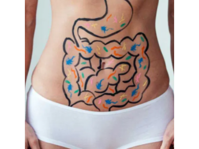 Связь кишечника и иммунной системы: 6 способов повысить иммунитет через кишечник