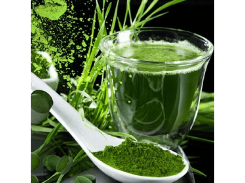  В чем польза хлорофилла для здоровья человека?