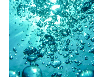 Пау д'Арко: природный антибиотик для укрепления иммунитета и лечения инфекций