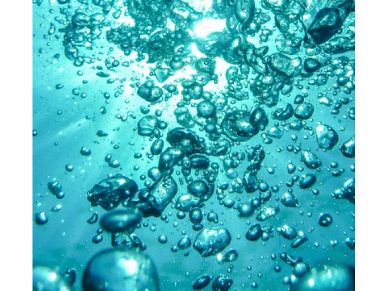 Пау д'Арко: природный антибиотик для укрепления иммунитета и лечения инфекций