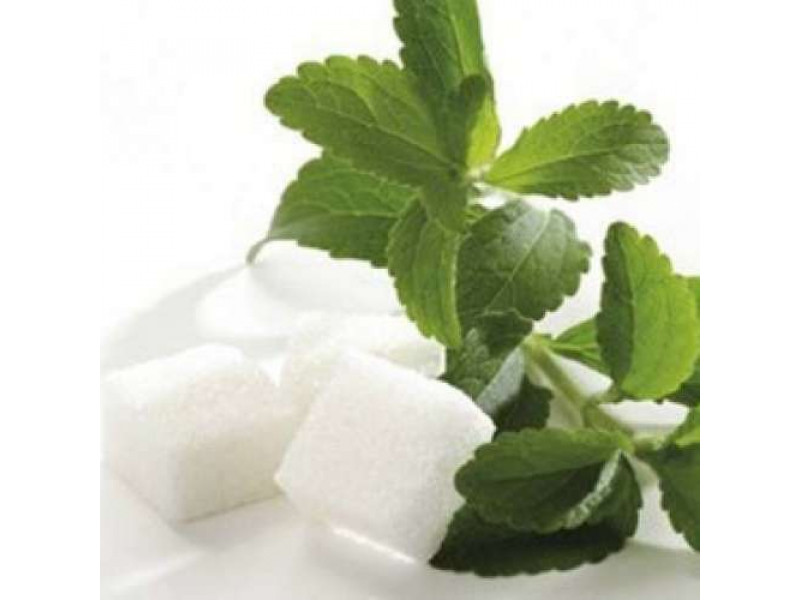  Польза стевии