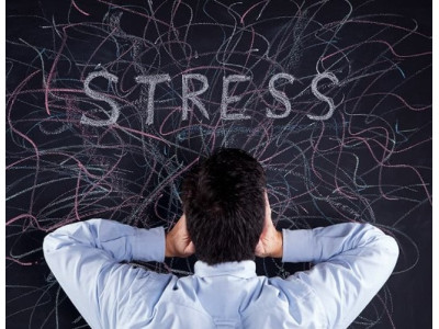 Магний: важность для здоровья организма и дефицит