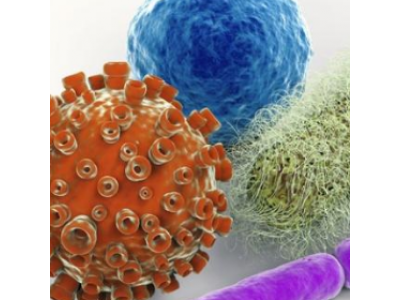 Важность цинка, витамина С и витамина D для иммунной системы