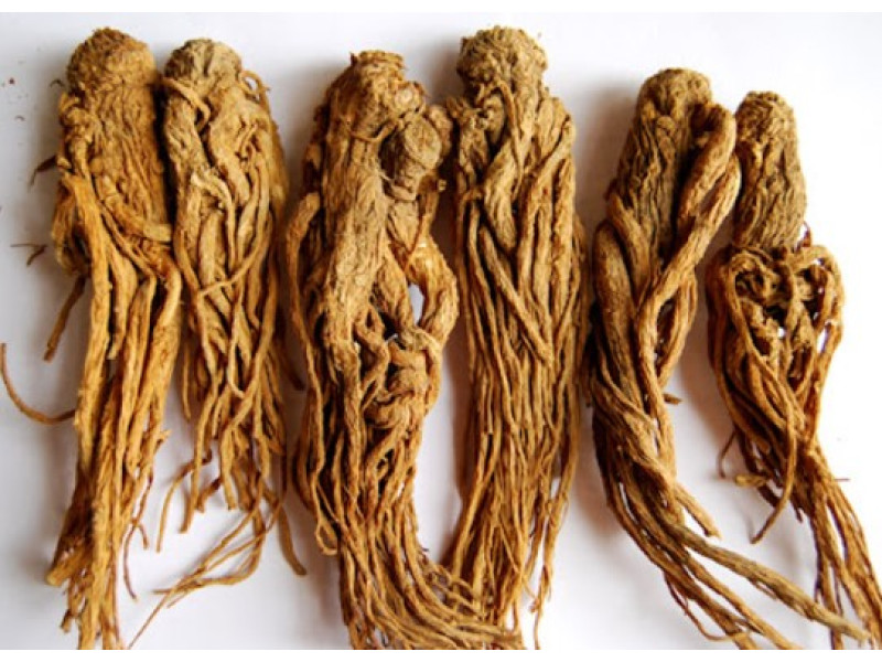 Донг Куай – природный секрет ПМС