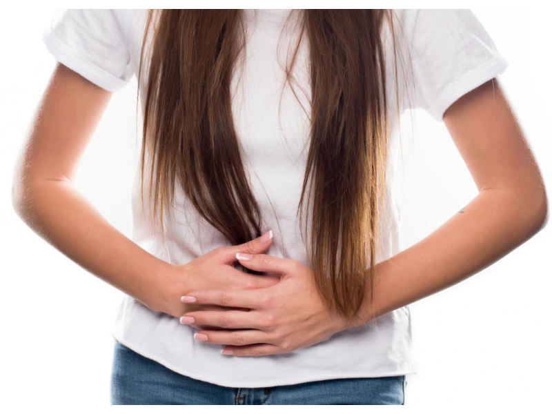 Как работает пищеварительный тракт?