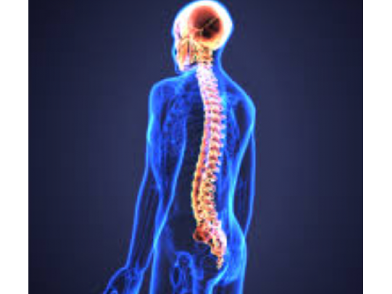 Травмы спинного мозга