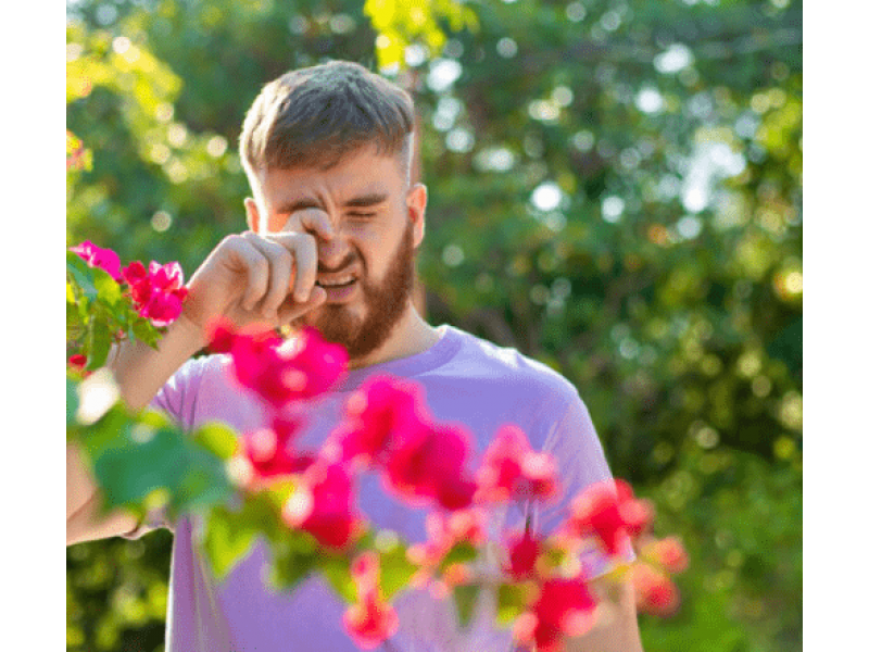 Аллергии и гормоны, вызывают обострения астмы 