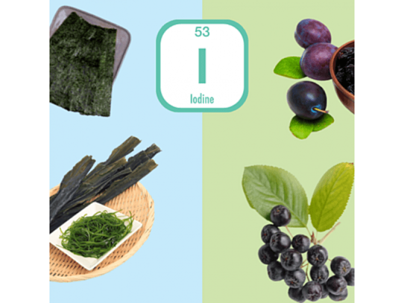 Йод: важность для здоровья щитовидной железы и организма