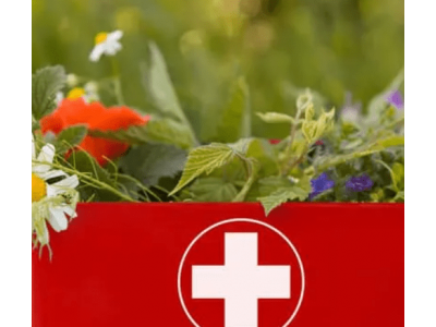 Основы путешествия для иммунной поддержки