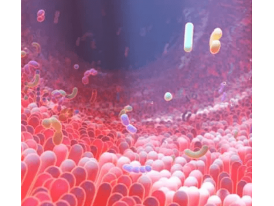 Польза пробиотиков для здоровья