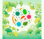 Простуда и иммунитет