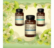 Кости и суставы