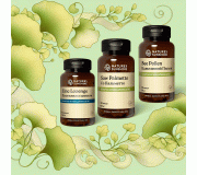 Мужская репродуктивная