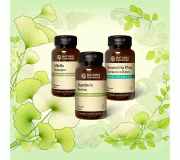 Опорно-двигательная, зубы