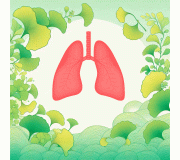 Органы дыхания