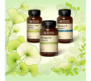 Память и мозг