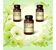 Пищеварительная система 