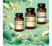 Мочеполовая система