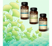 Сезонная поддержка