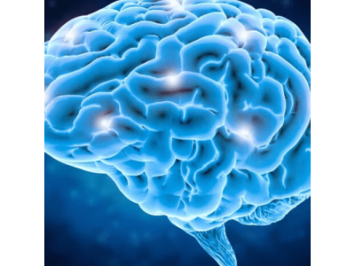 Польза экстракта листьев дерева гинкго билоба для вашего мозга