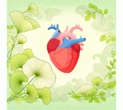 Здоровье сердца: добавки NSP