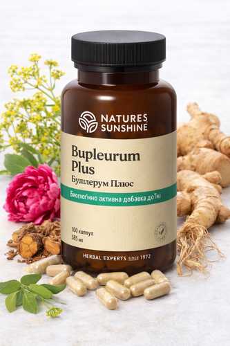 Bupleurum