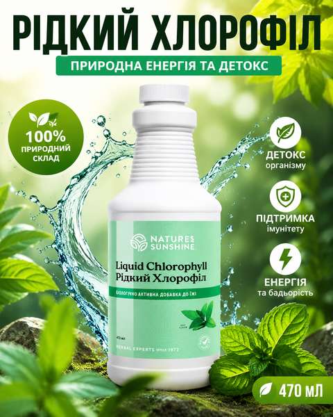 Зображення Рідкий хлорофіл NSP Liquid Chlorophyll 473 мл – натуральний хлорофіл для підтримки організму Фото Рідкий Хлорофіл NSP — концентрований рідкий хлорофіл із натуральної люцерни для щоденної підтримки організму.