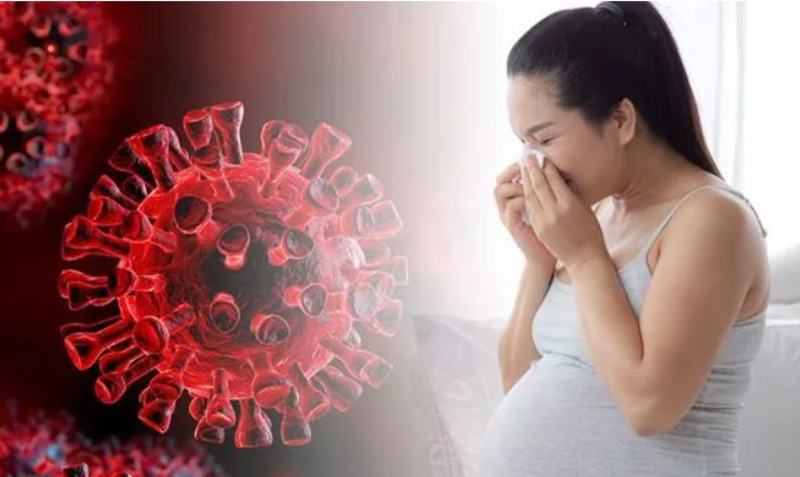 Фото беременой женищиы