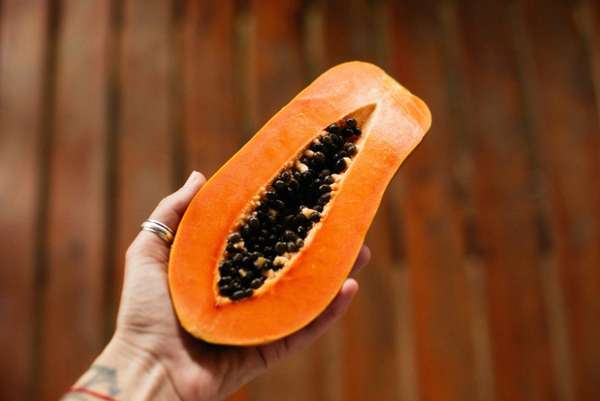 Фото тыквы семенами